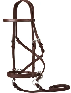 BITLESS BRIDLE English Bridles|Dr. Cook's Beta BitlessBridle™