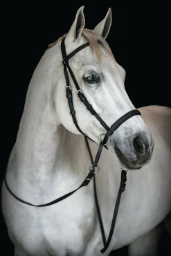 BITLESS BRIDLE English Bridles|Dr. Cook's Beta BitlessBridle™