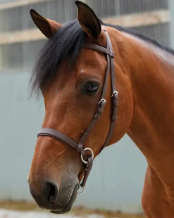 BITLESS BRIDLE English Bridles|Dr. Cook's Beta BitlessBridle™