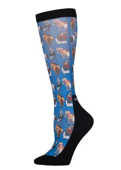 DREAMERS N SCHEMERS Equestrian Socks|Riding Socks & Undergarments|Dreamers and Schemers Youth Pair and a Spare Socks