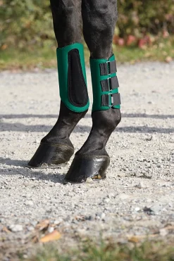 KING YOUNG Horse Boots|DS All-Purpose Galloping Boots