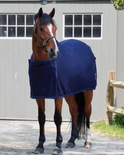 TEXT HORSE Horse Coolers|DS Awards Cooler