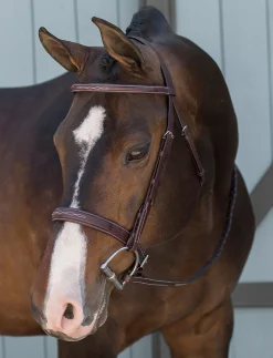 HARMOHN KRAFT English Bridles|DS Classic Derby Bridle