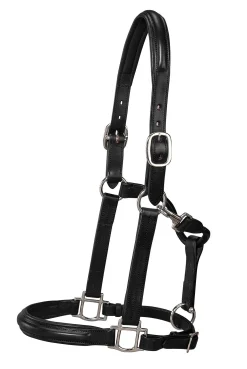 HARMOHN KRAFT Halters|DS Classic Plain Raised Padded Halter