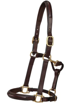 HARMOHN KRAFT Halters|DS Classic Plain Raised Padded Halter