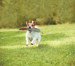 SHIRE HORSE Dog Toys, Treats & Accessories|DS Duck Dog Toy