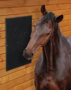 SHIVAM Stable Hardware|DS Equine Scratching Mat