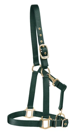 ZEETA INTERNATIONAL Halters|DS Heavy Nylon Halter