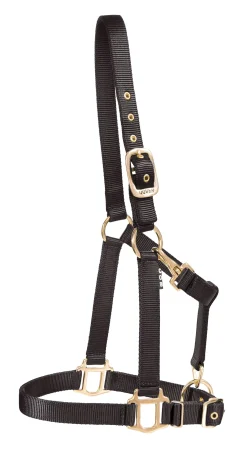 ZEETA INTERNATIONAL Halters|DS Heavy Nylon Halter