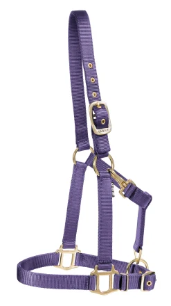ZEETA INTERNATIONAL Halters|DS Heavy Nylon Halter