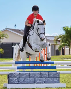 KIRSCH Short Sleeve Shirts|DS Ladies’ Iva Short Sleeve Polo Shirt