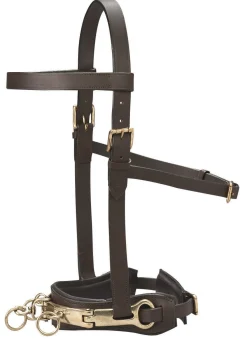 KINGS INTERNATIONAL Lunging & Training Equipment|DS Leather Lunge Caveson