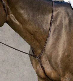 KINGS INTERNATIONAL Martingales & Breastplates|DS Plain Raised Martingale