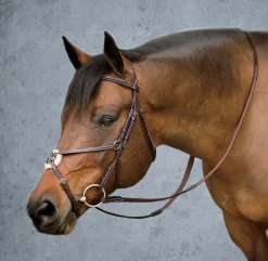 HARMOHN KRAFT English Bridles|DS Premier Figure-8 Bridle