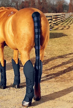 KING YOUNG Braiding & Tails|DS Pro Padded Tail Wrap & Bag Combo