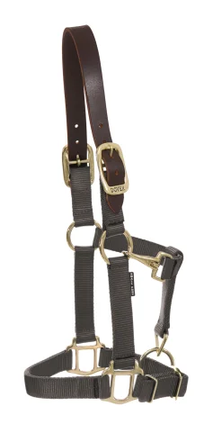 ZEETA INTERNATIONAL Halters|DS Heavy Nylon Breakaway Halter