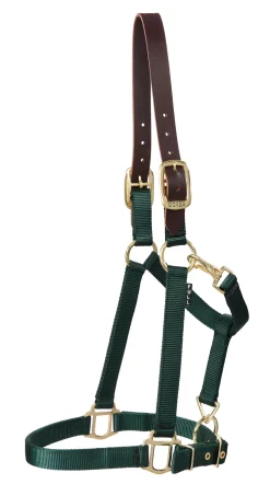 ZEETA INTERNATIONAL Halters|DS Heavy Nylon Breakaway Halter