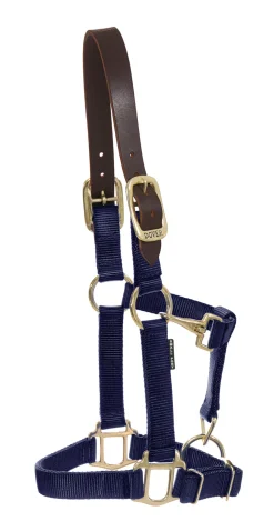 ZEETA INTERNATIONAL Halters|DS Heavy Nylon Breakaway Halter