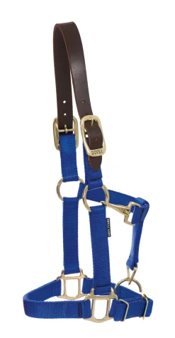 ZEETA INTERNATIONAL Halters|DS Heavy Nylon Breakaway Halter