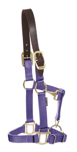 ZEETA INTERNATIONAL Halters|DS Heavy Nylon Breakaway Halter