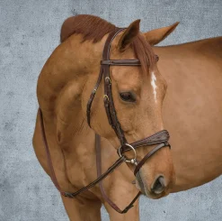 KENTUCKY HORSEWEAR English Bridles|Dy'on® Anatomic Bridle