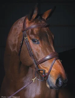 KENTUCKY HORSEWEAR English Bridles|Dy'on® Anatomic Bridle