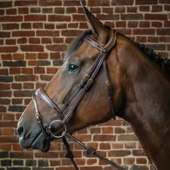 KENTUCKY HORSEWEAR English Bridles|Dy'on® Anatomic Bridle