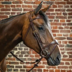KENTUCKY HORSEWEAR English Bridles|Dy'on® Anatomic Bridle