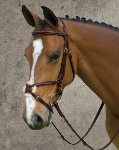 KENTUCKY HORSEWEAR English Bridles|Dy'on® Figure-8 Bridle