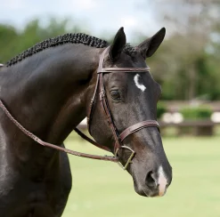 DY ON English Bridles|Dy'on® Wide Nose Hunter Bridle