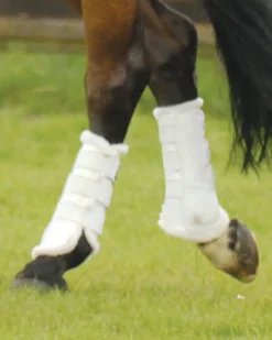 WORLD EQUSTRN BRNDS Horse Boots|E.A. Mattes Hind Sheepskin Boots