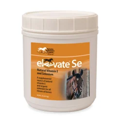 ANIMAL HEALTH INT Horse Supplements|Elevate® SE
