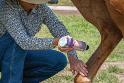 ANIMAL HEALTH INT First Aid Supplies|Equiderma® Skin Lotion