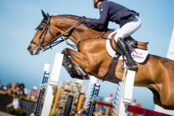 EQUIFIT Girths & Accessories|® Anatomical BellyGuard Girth with T-Foam™ Liner