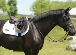 EQUIFIT Girths & Accessories|® Anatomical BellyGuard Girth with SheepsWool™ T-Foam Liner