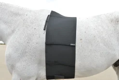 EQUIFIT Girths & Accessories|® BellyBand™