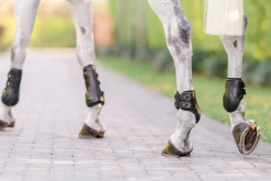 EQUIFIT Horse Boots|® Eq-Teq™ Hind Boots