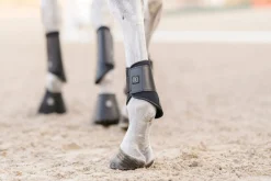 EQUIFIT Horse Boots|® Essential EveryDay Hind Boot
