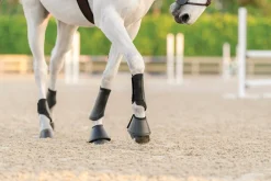EQUIFIT Horse Boots|® Essential EveryDay Front Boot