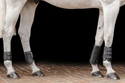 EQUIFIT Horse Boots|® MultiTeq Front Boots