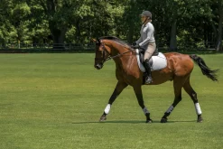 EQUIFIT Horse Boots|® MultiTeq Front Boots