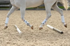 EQUIFIT Horse Boots|® MultiTeq SheepsWool Tall Hind Boots