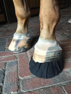 EQUIFIT Hoof Topicals|® Pack-N-Stick HoofTape - 6 pack