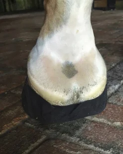 EQUIFIT Hoof Topicals|® Pack-N-Stick HoofTape