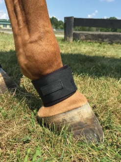 EQUIFIT Therapy|Hoof & Hock Boots|® Pastern Wrap