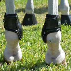 EQUIFIT Horse Boots|® Young Horse Boots with ImpacTeq®