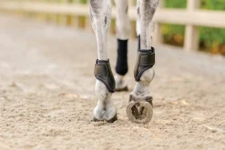 EQUIFIT Horse Boots|® Young Horse Boots with ImpacTeq®