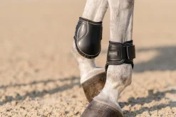 EQUIFIT Horse Boots|® Young Horse Boots with ImpacTeq®