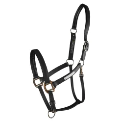 WORLD EQUSTRN BRNDS Halters|Equilibrium Stellar All-Weather Breakaway Halter