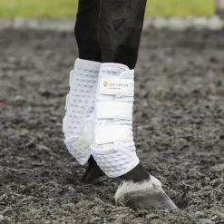 WORLD EQUSTRN BRNDS Horse Boots|Equilibrium Stretch & Flex Training Wraps
